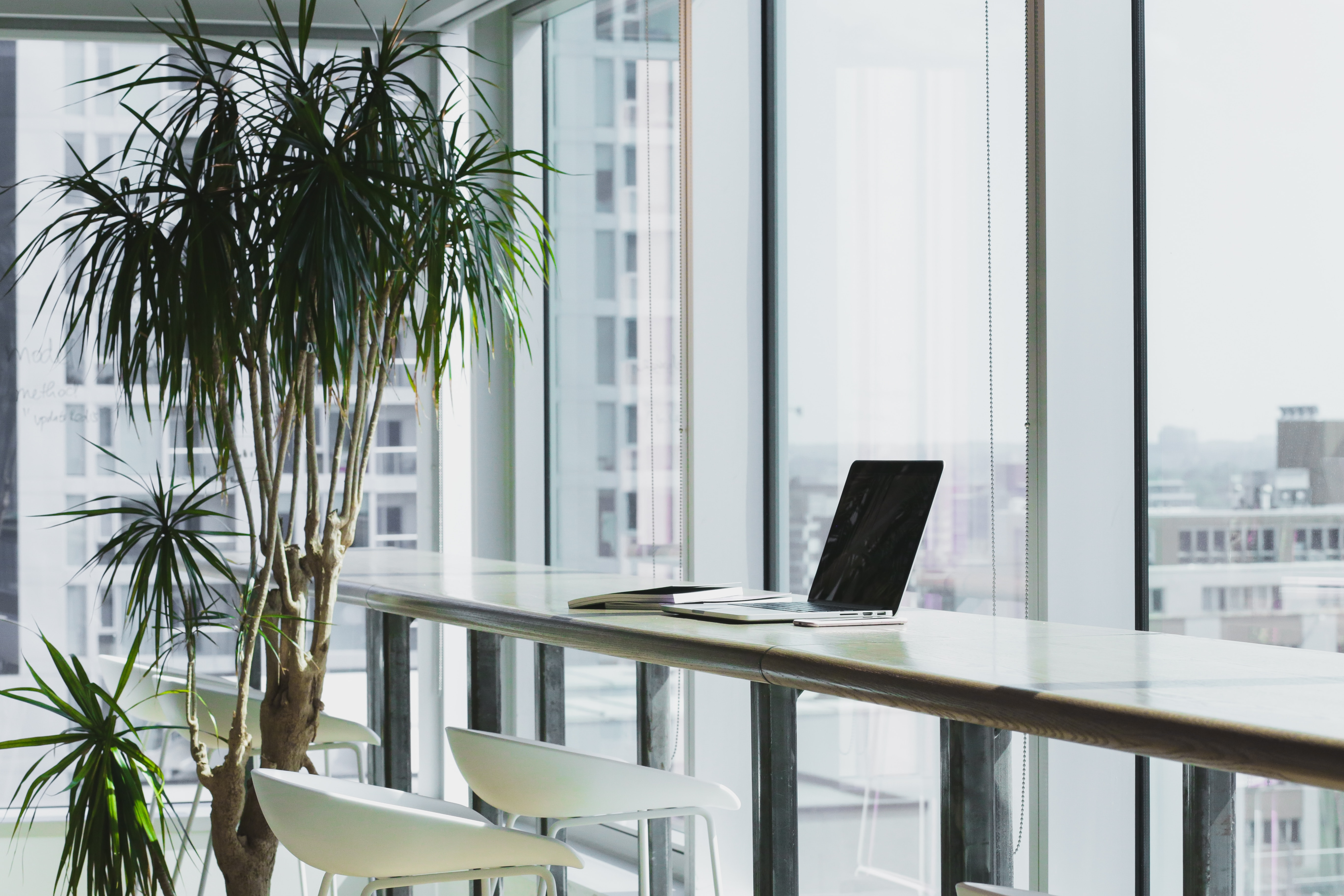 Saubere Fenster in einem Büro nach einer Fensterreinigung